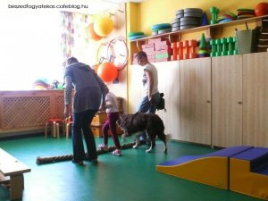 kutyaterapia