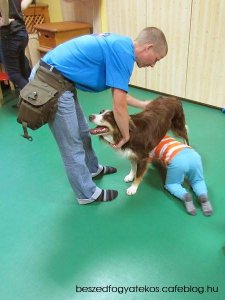 kutyaterapia_
